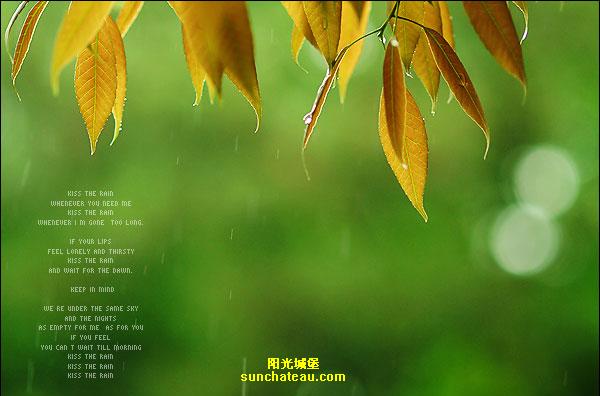 ӡ(Kiss The Rain)