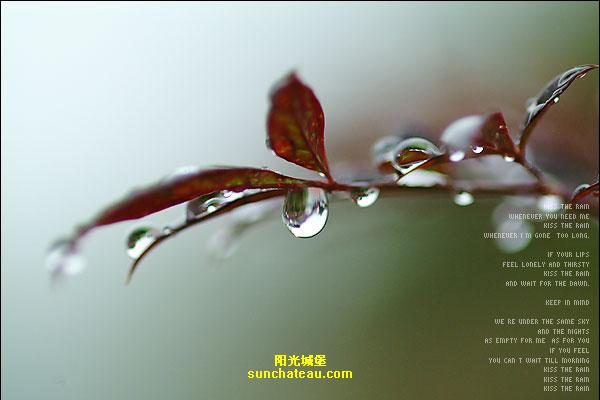 ӡ(Kiss The Rain)