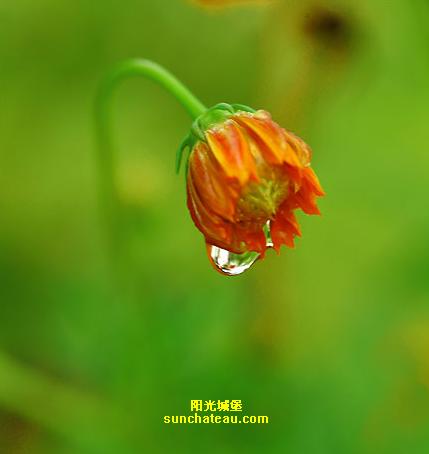 ӡ(Kiss The Rain)