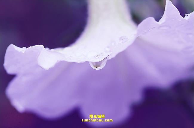ӡ(Kiss The Rain)