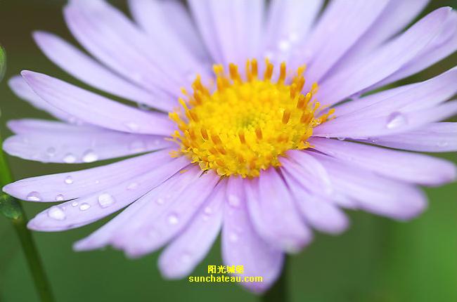ӡ(Kiss The Rain)