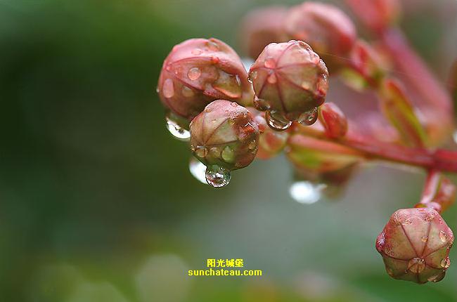 ӡ(Kiss The Rain)