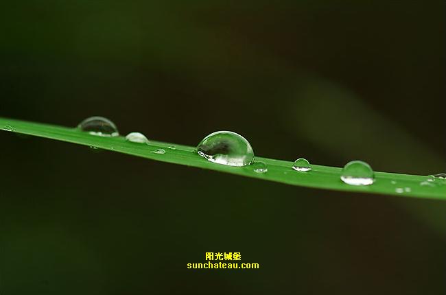 ӡ(Kiss The Rain)