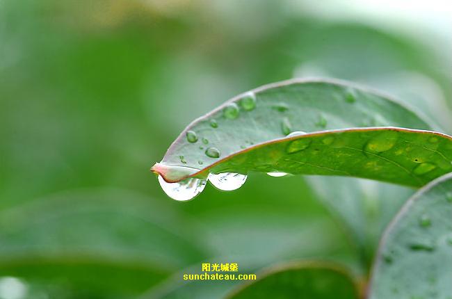 ӡ(Kiss The Rain)